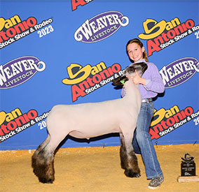 Reserve Div 1 Medium Wool San Antonio